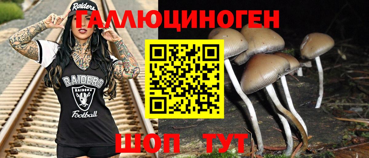 Апшеронск  Псилоцибиновые грибы Psilocybe  Вход с VPN 